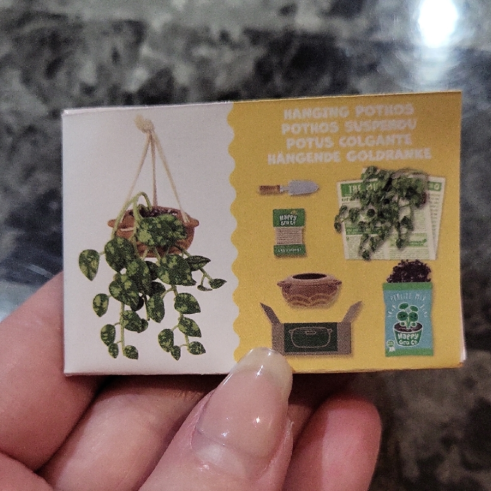 Miniverse Make It Mini Lifestyle Hanging Pothos Plant